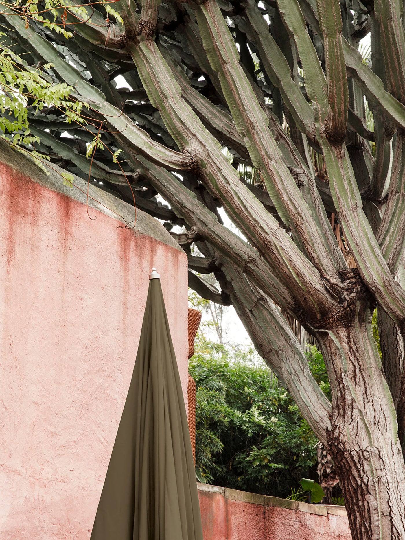 Lull Umbrella - Military Olive
