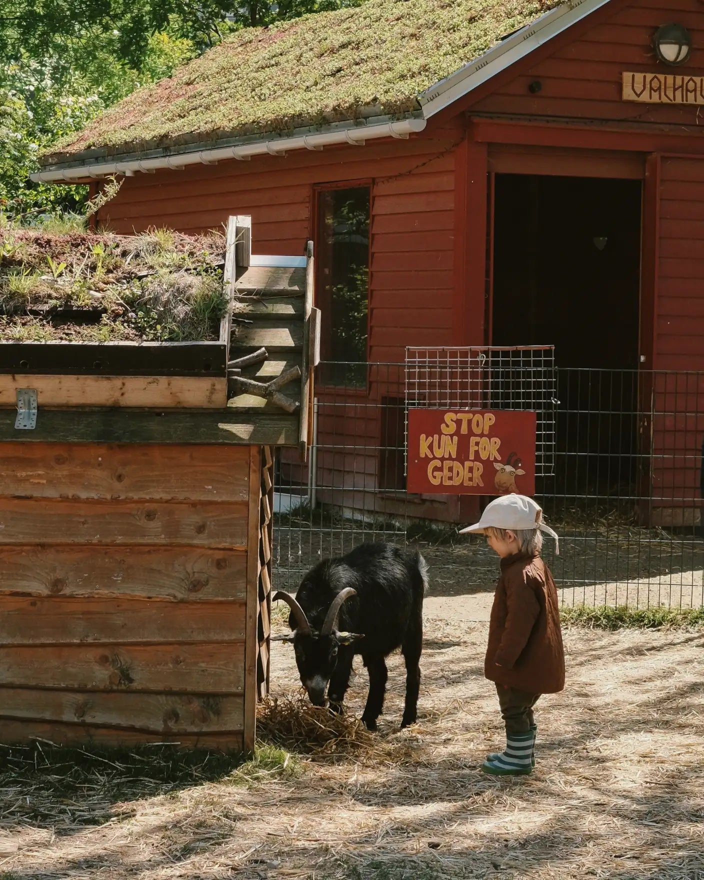 A Kids Guide to Copenhagen
